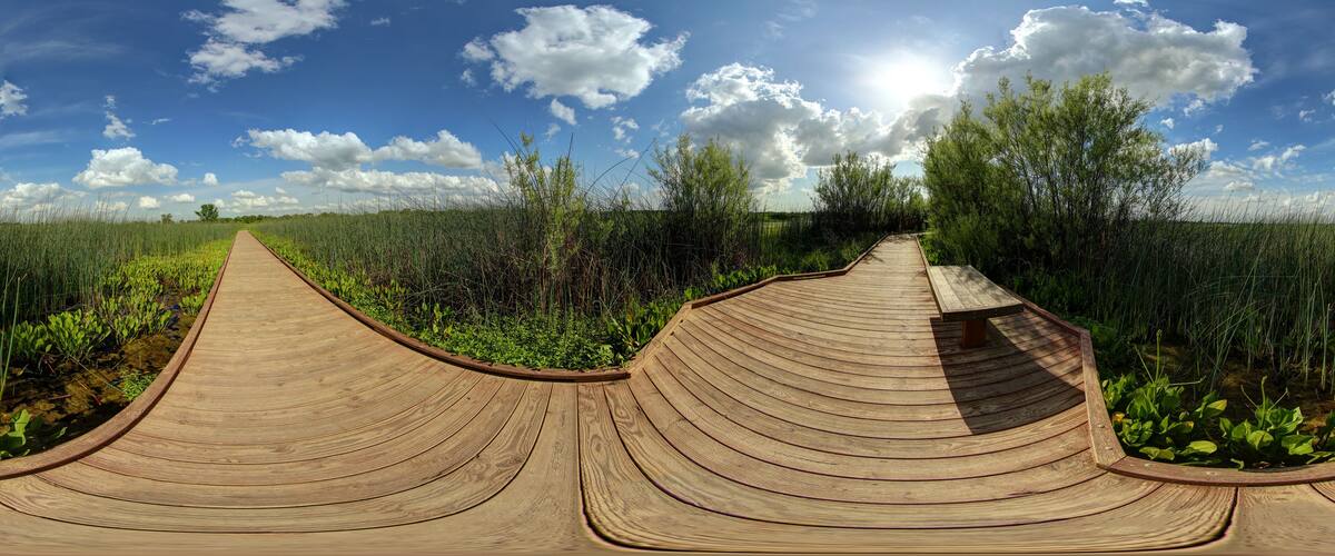 A wooden boardwalk curving through a grassy field with trees and a clear blue sky.