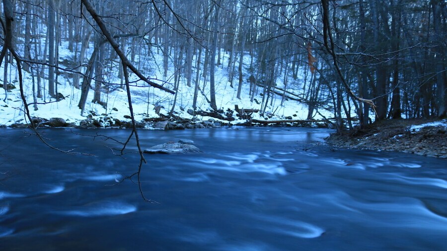 Pic from Saturday shoot at ken lockwood gorge. This place is so big it would take like 2 weeks to shoot all of it. This place is amazing for forest photography with lots of little water fall,streams, and planty to explore