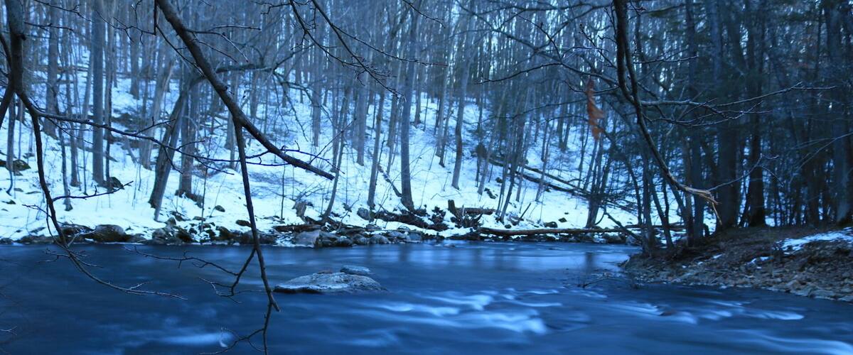 A frozen river in a forest with bare trees and snow on the ground.