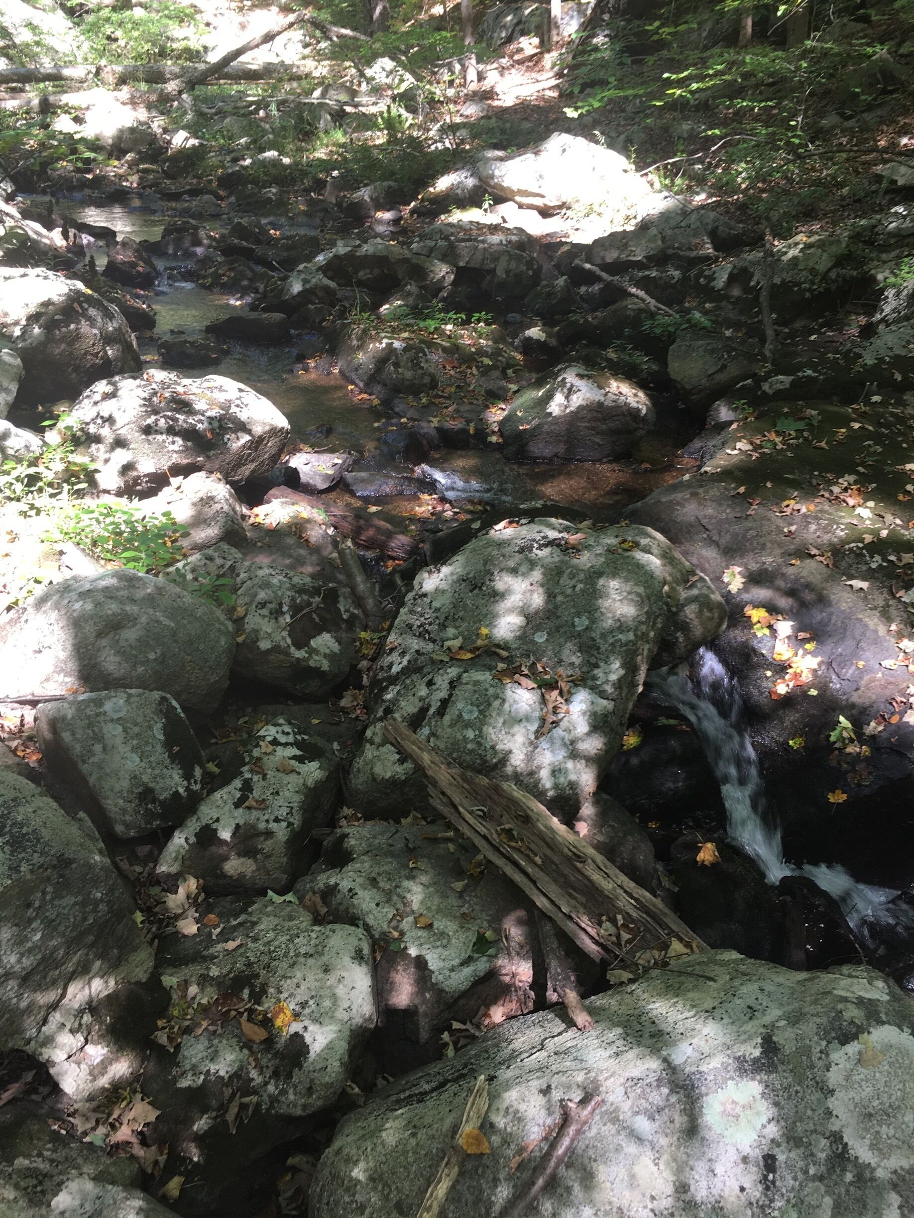 Small creak trickling down the hill.  There is a few parts where the water falls pretty far maybe 15-20 feet.  Beautiful hike and tranquil sounds of the water.