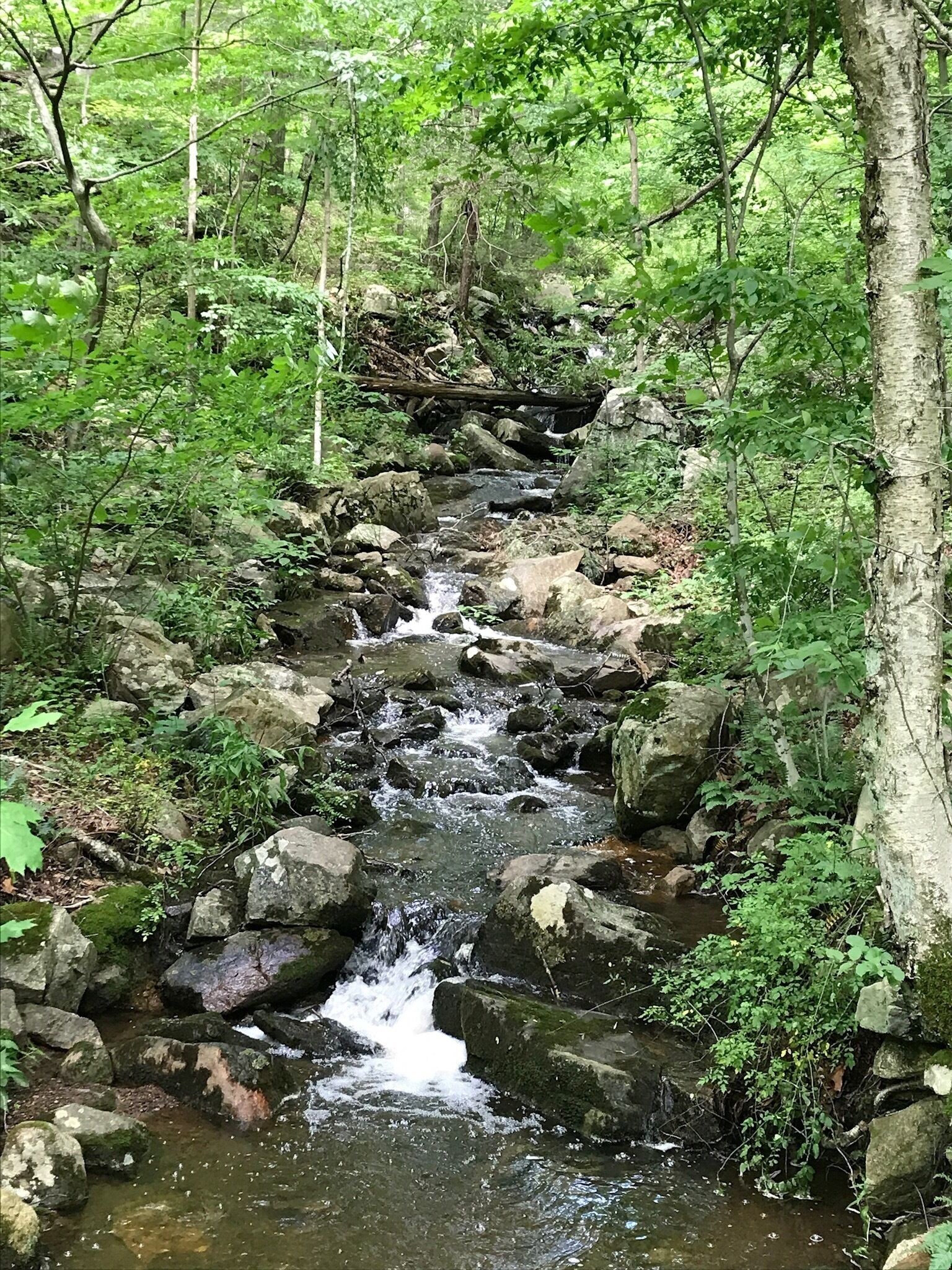 A hidden gem.  Beautiful walk by the river. 