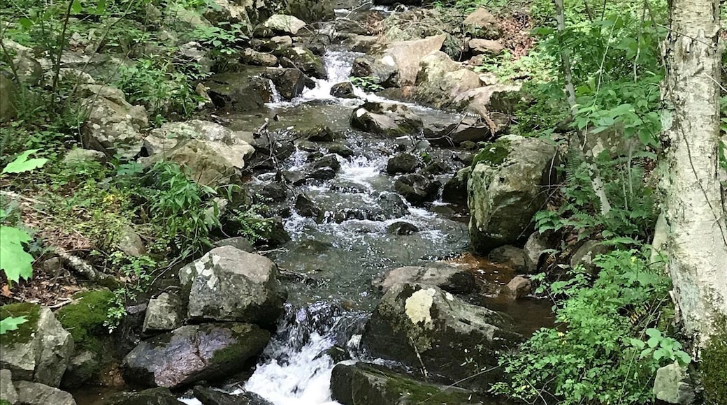 A hidden gem. Beautiful walk by the river.