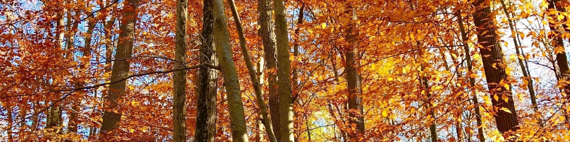 What a beautiful find on Saturday afternoon