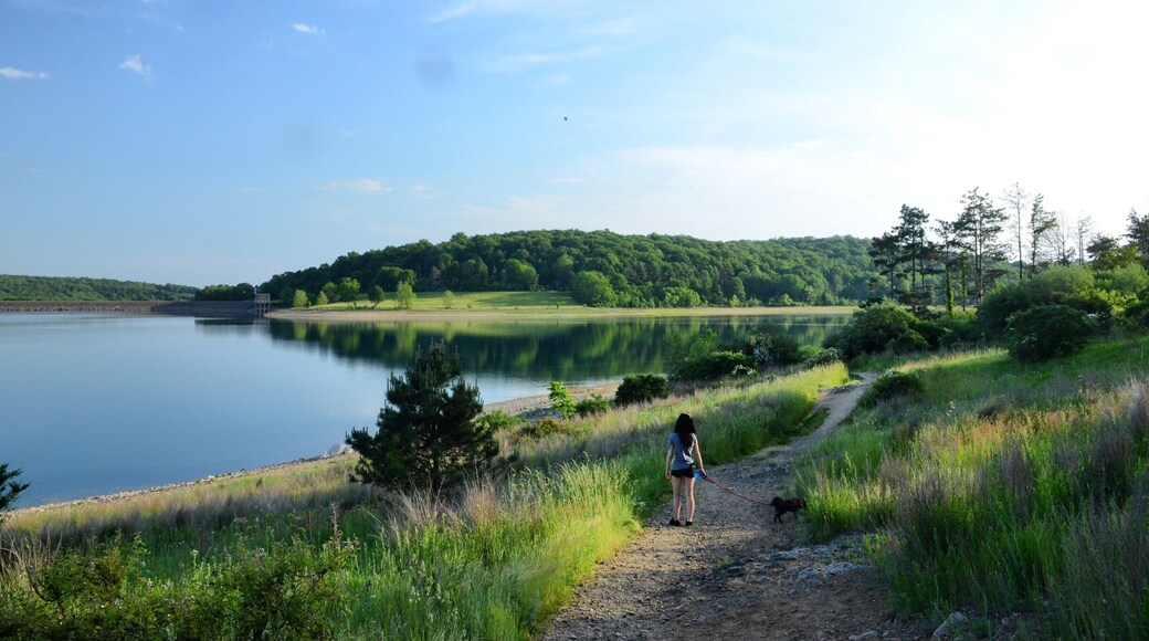 South parking lot has great trails to walk. Plenty of open areas and great views. You can skip rocks, take photos or just enjoy the sights.