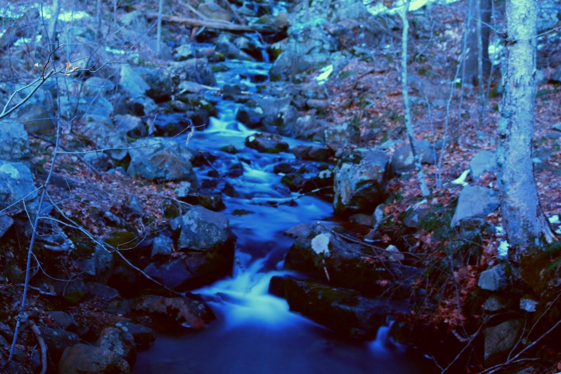Another forest/stream shot at long exposure at ken lockwood gorge 