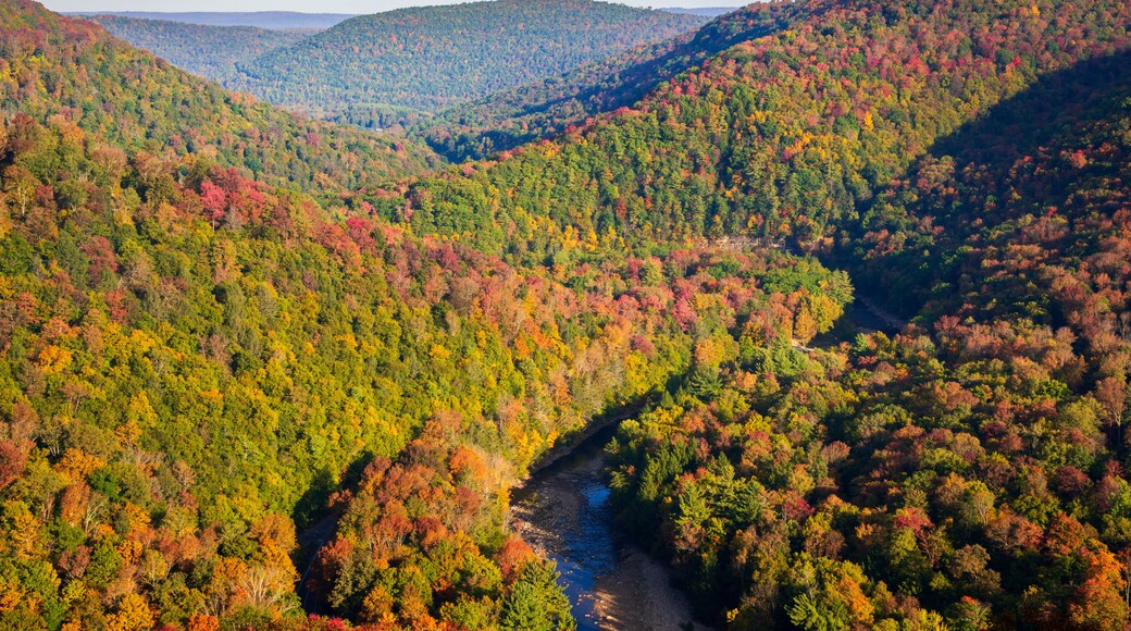 Worlds End State Park, State park in Pennsylvania
