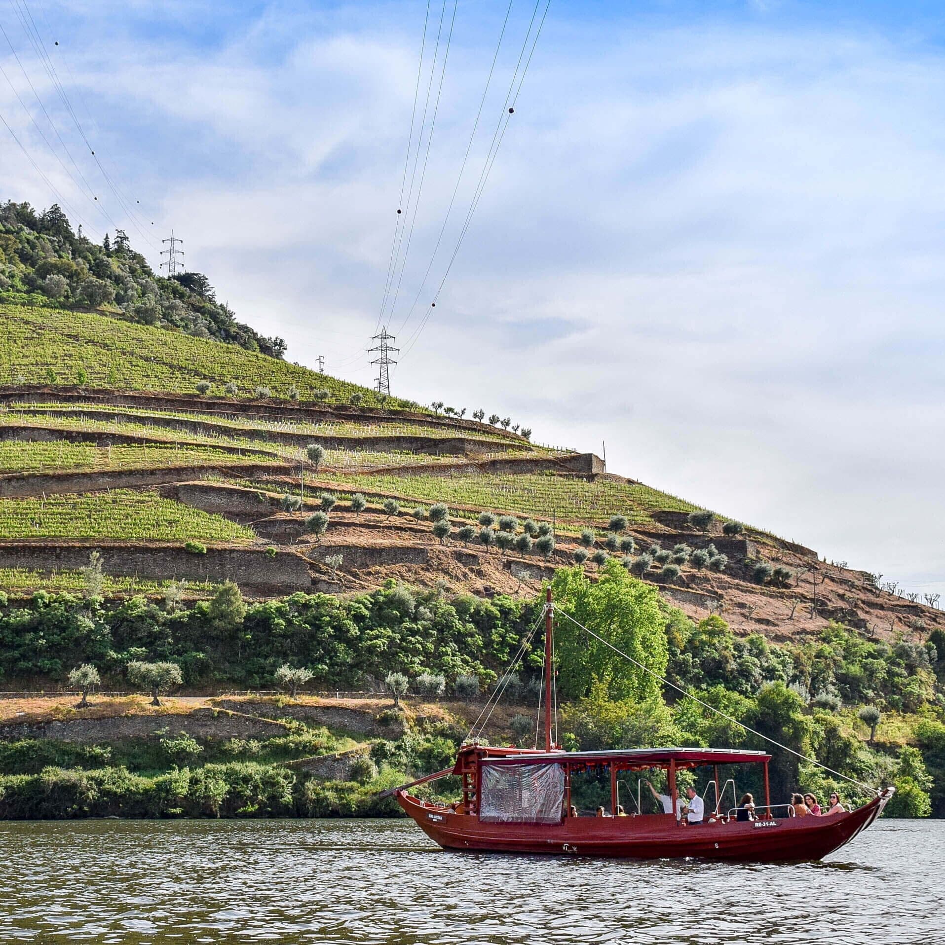 I enjoyed a fabulous tour of the Douro Valley in Portugal.  I met the winemakers, enjoyed gourmet food and tasted a lot of port.  See more at:  http://www.travelblissnow.com/best-tour-douro-valley-portugal/