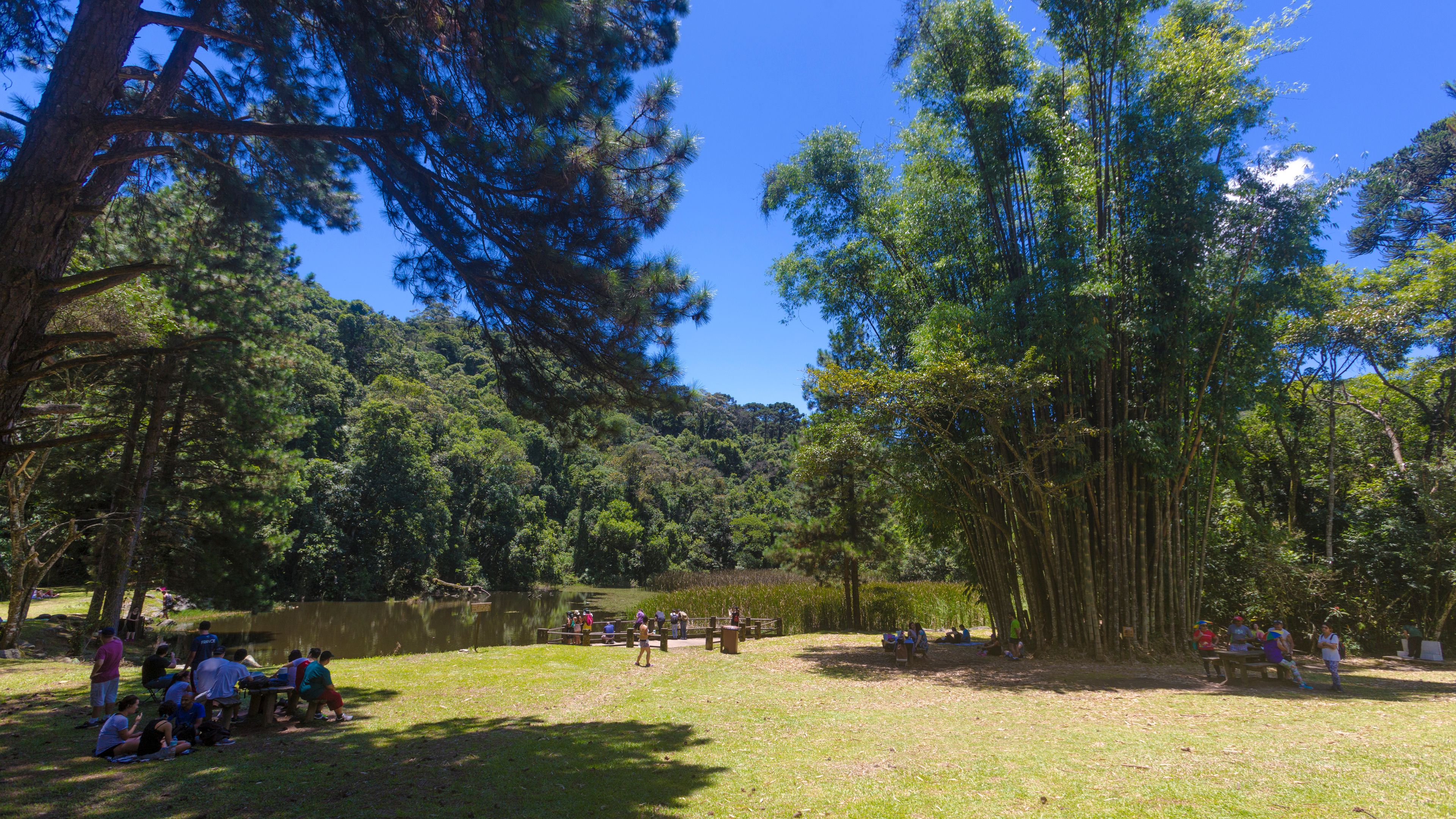 SÃO PAULO, SP, PARQUE ESTADUAL DA CANTAREIRA - Trilha entre Águas Claras e Pedra Grande. Lago das Carpas.. São Paulo. Foto: Ormuzd Alves