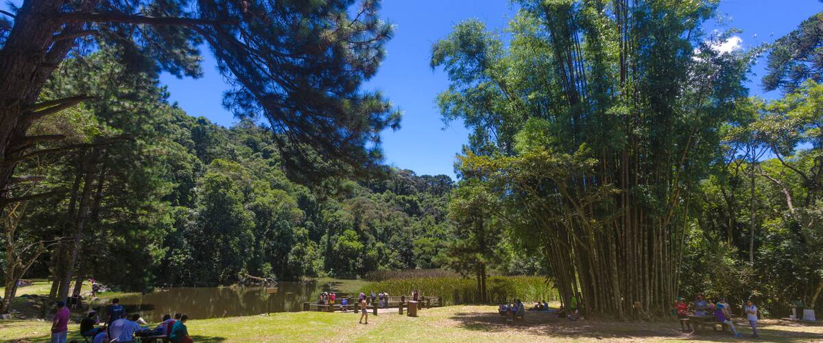 SÃO PAULO, SP, PARQUE ESTADUAL DA CANTAREIRA - Trilha entre Águas Claras e Pedra Grande. Lago das Carpas.. São Paulo. Foto: Ormuzd Alves