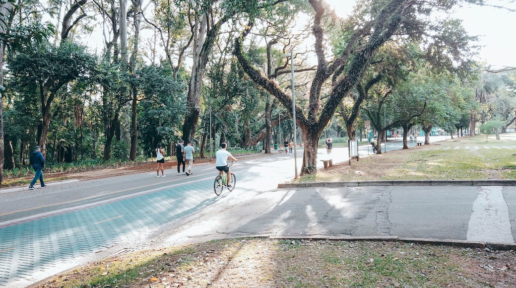 Un parque con un sendero pavimentado, árboles y un ciclista.