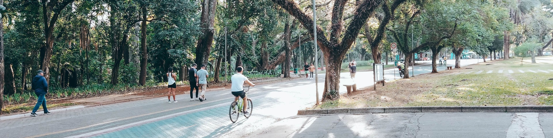 Un parque con un sendero pavimentado, árboles y un ciclista.