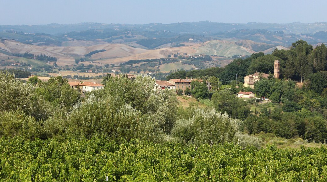Catignano, hamlet of Gambassi Terme, Metropolitan City of Florence, Tuscany, Italy