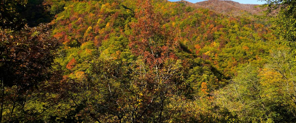 A mountainous landscape with autumn foliage.