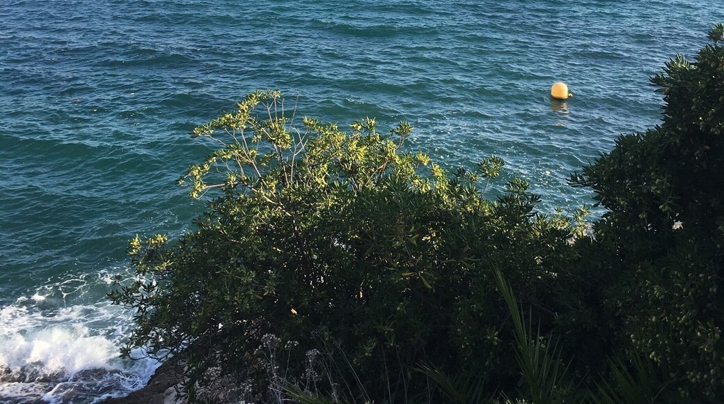 #hafen #calaratjada #beautiful #Place #spanien wundervoll um Urlaub zu machen