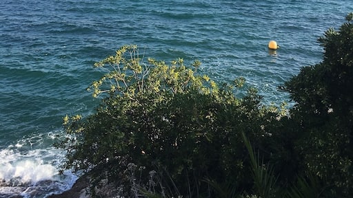 #hafen #calaratjada #beautiful #Place #spanien wundervoll um Urlaub zu machen