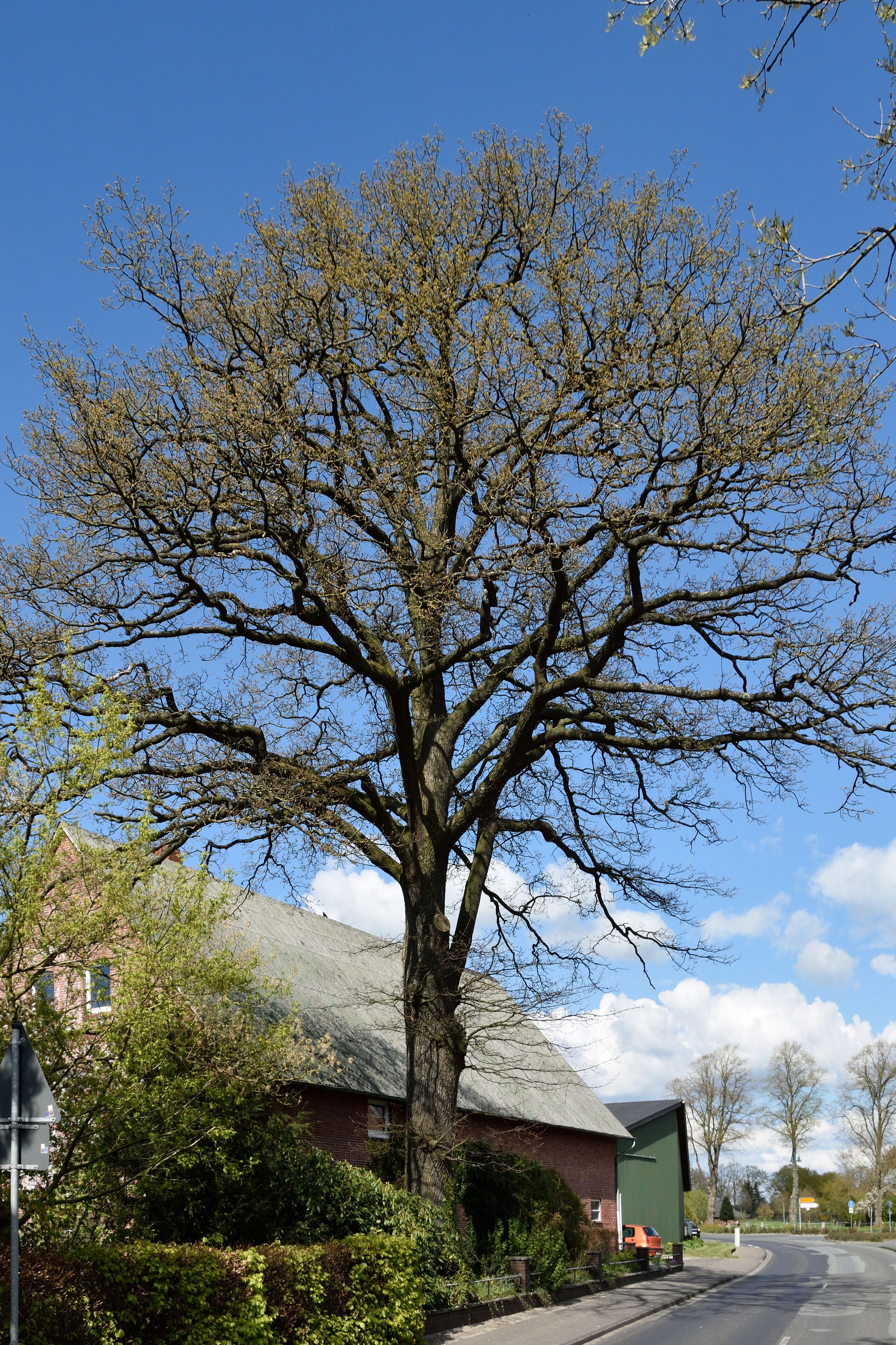 This image was uploaded as part of Wiki Loves Earth 2015.