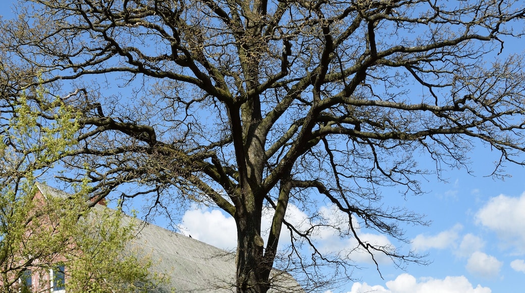 This image was uploaded as part of Wiki Loves Earth 2015.