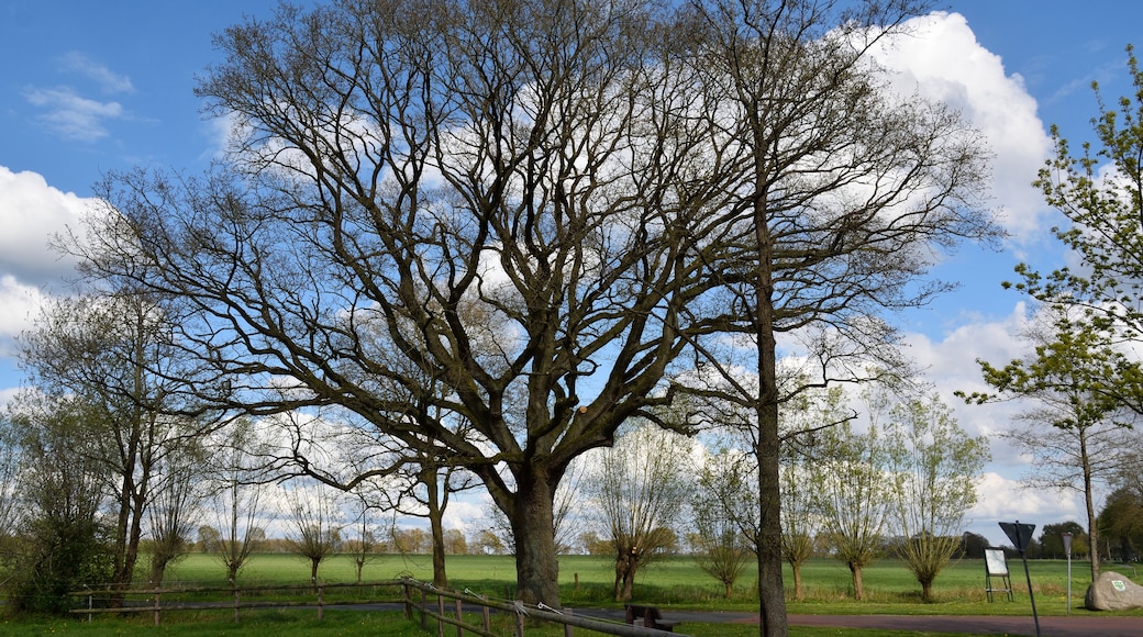 This image was uploaded as part of Wiki Loves Earth 2015.