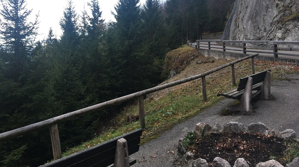 This place is one of the most amazing place in Bayern I love mountain.
You can use Tele cabin to go up and then two choice for coming down.