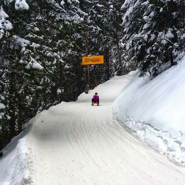 I LOVE sledding on Germany's longest sledding run - it's almost 7km long!  But warning - you go really fast! You have the option to either take the gondola up (€10) or to hike up which takes approximately 3 hours.  You can rent sleds on the spot for €5 for the day. 

Find out more at: http://monkeysandmountains.com/toboganning-toboggan-run
