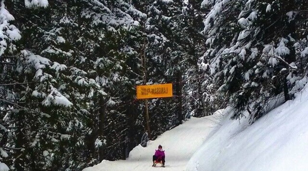 I LOVE sledding on Germany's longest sledding run - it's almost 7km long! But warning - you go really fast! You have the option to either take the gondola up (€10) or to hike up which takes approximately 3 hours. You can rent sleds on the spot for €5 for the day.
Find out more at: http://monkeysandmountains.com/toboganning-toboggan-run