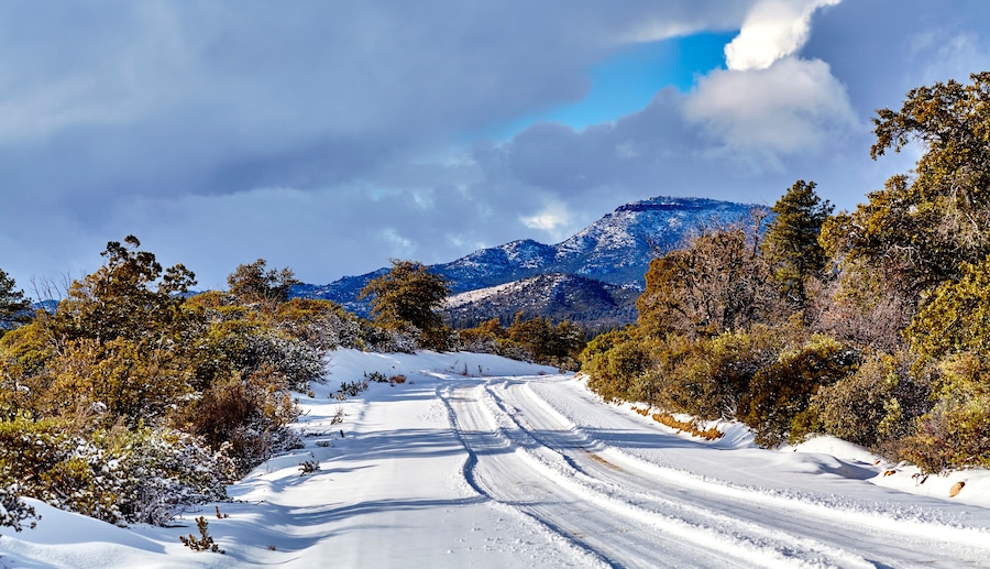 Snow covered mountain road with junipers and oak trees