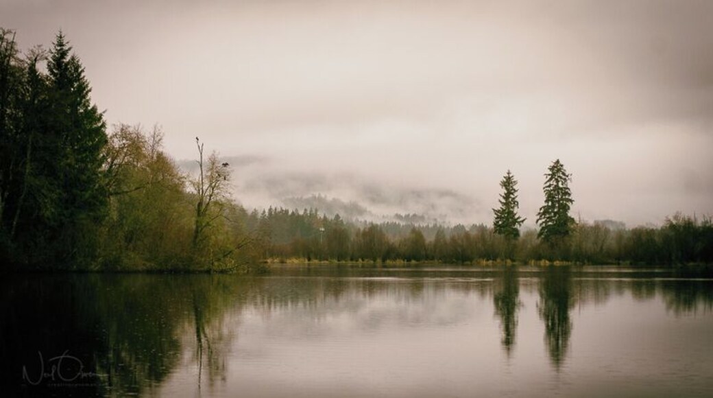 Beautiful little lake. Great for sunset. Can only be accessed from the south bound Lane of the highway.