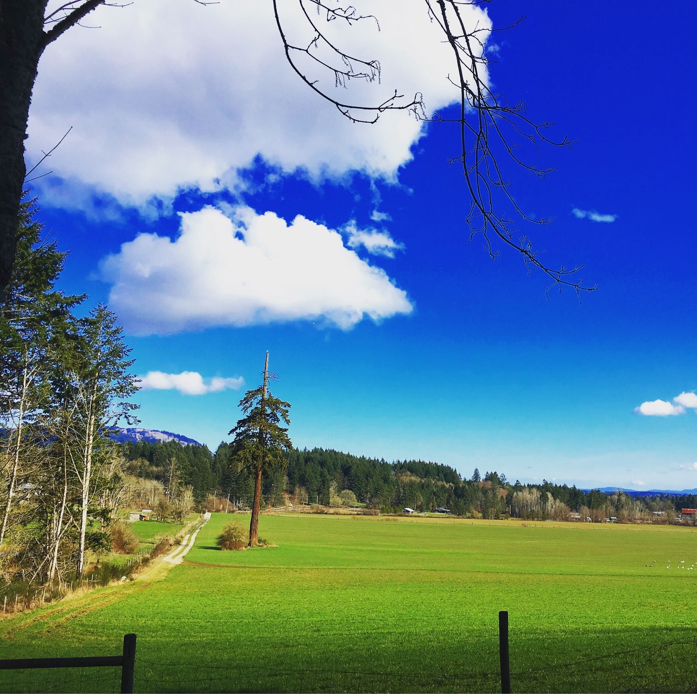 The beauty around us often doesn't get noticed. Stop and look. 