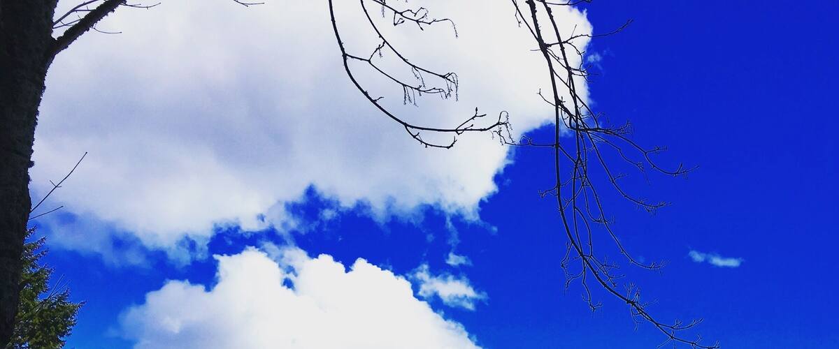 The beauty around us often doesn't get noticed. Stop and look.