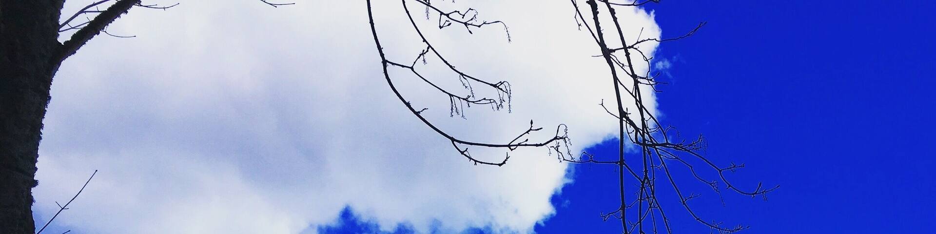 The beauty around us often doesn't get noticed. Stop and look.