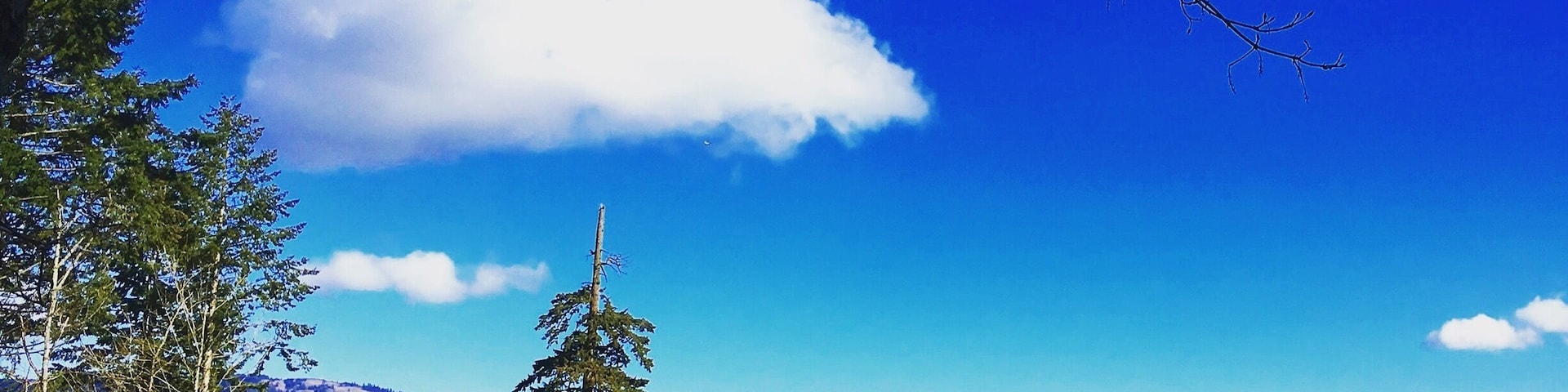 The beauty around us often doesn't get noticed. Stop and look.