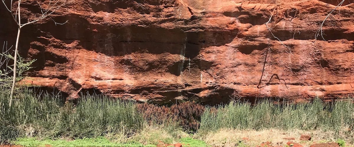 Nice little pond off the trail in Red Rock State Park. Love a good reflection!