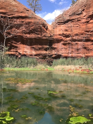 Nice little pond off the trail in Red Rock State Park. Love a good reflection!