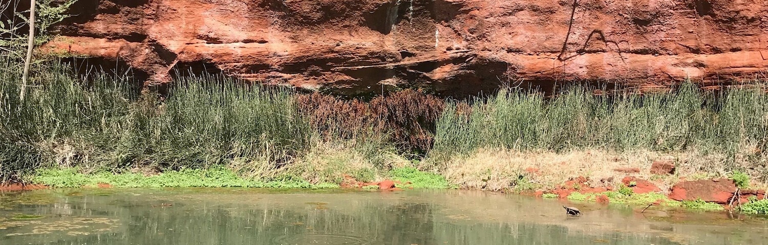Nice little pond off the trail in Red Rock State Park. Love a good reflection!