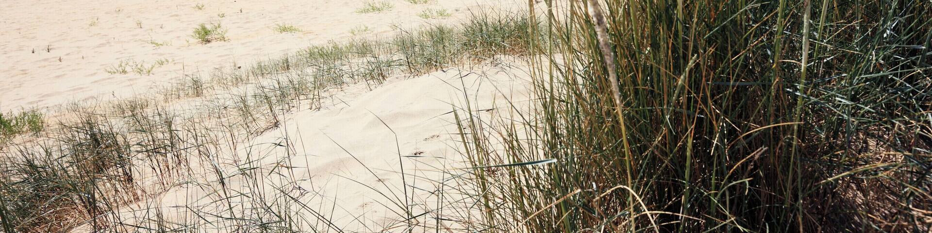 Beach at Punta Umbria, Huelva, Andalucia, Spain