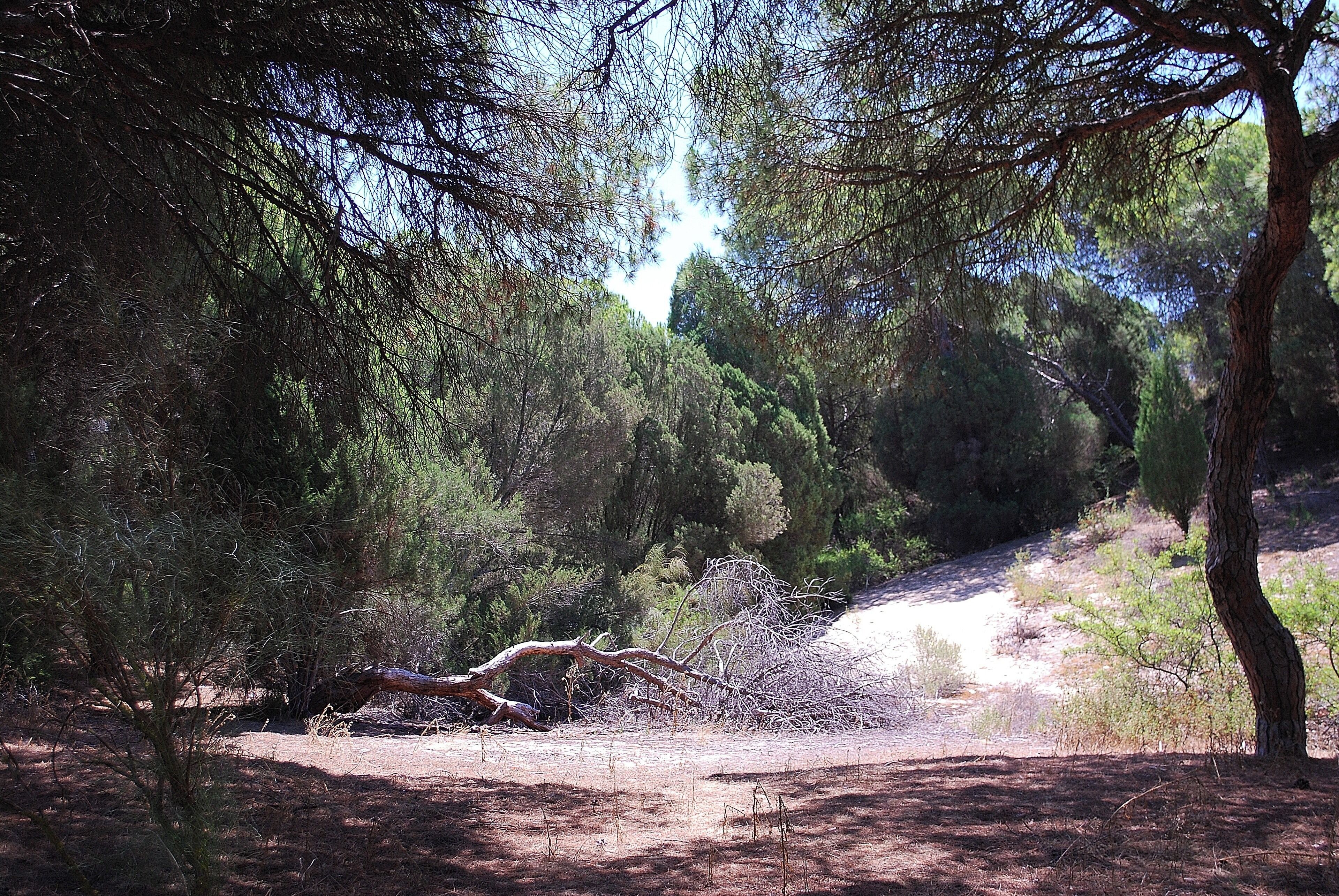 Punta Umbría, 21100, Huelva, Spain