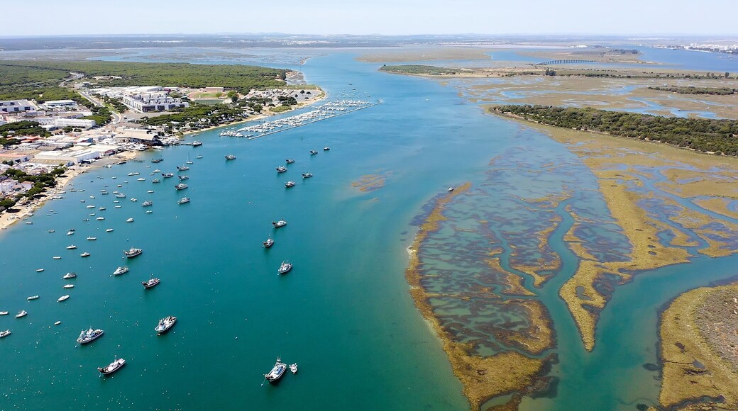 Aerial view over the village, marinas and fishing port of Punta Umbría, and the river Piedras, in the Atlantic coast of Huelva, Andalusia, Spain.