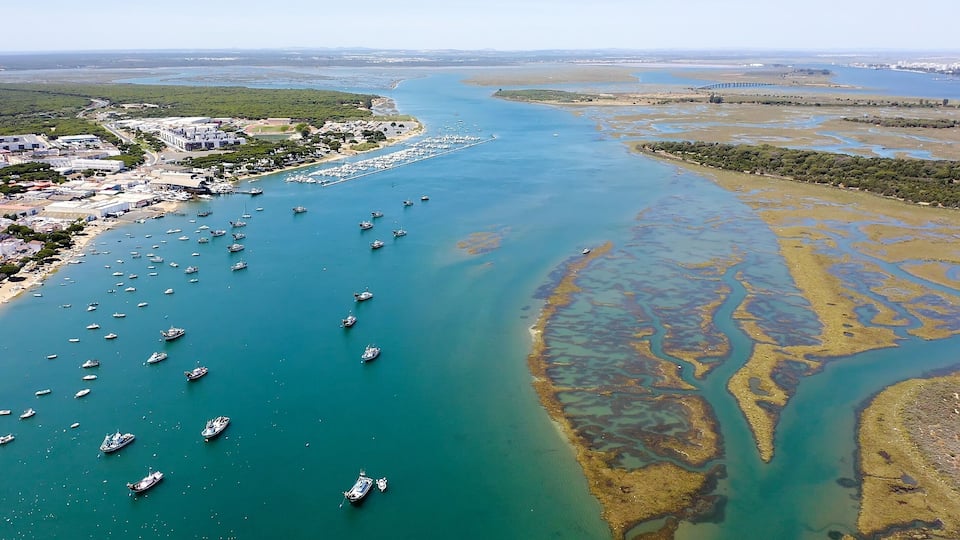 A coastal area with a marina, boats, and a bridge.