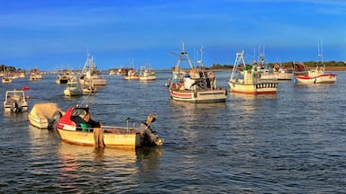 Fishing boats moored on the estuary of Punta Umbria, Huelva, Spain, Shutterstock ID 1265196874, Purchase Order: SP-1843, Order Number: SP-1843 Hotels.com Seasonality Project - Summer/Beach, Client/Lic