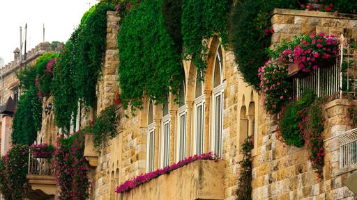 Facade of Lebanon mountain residences