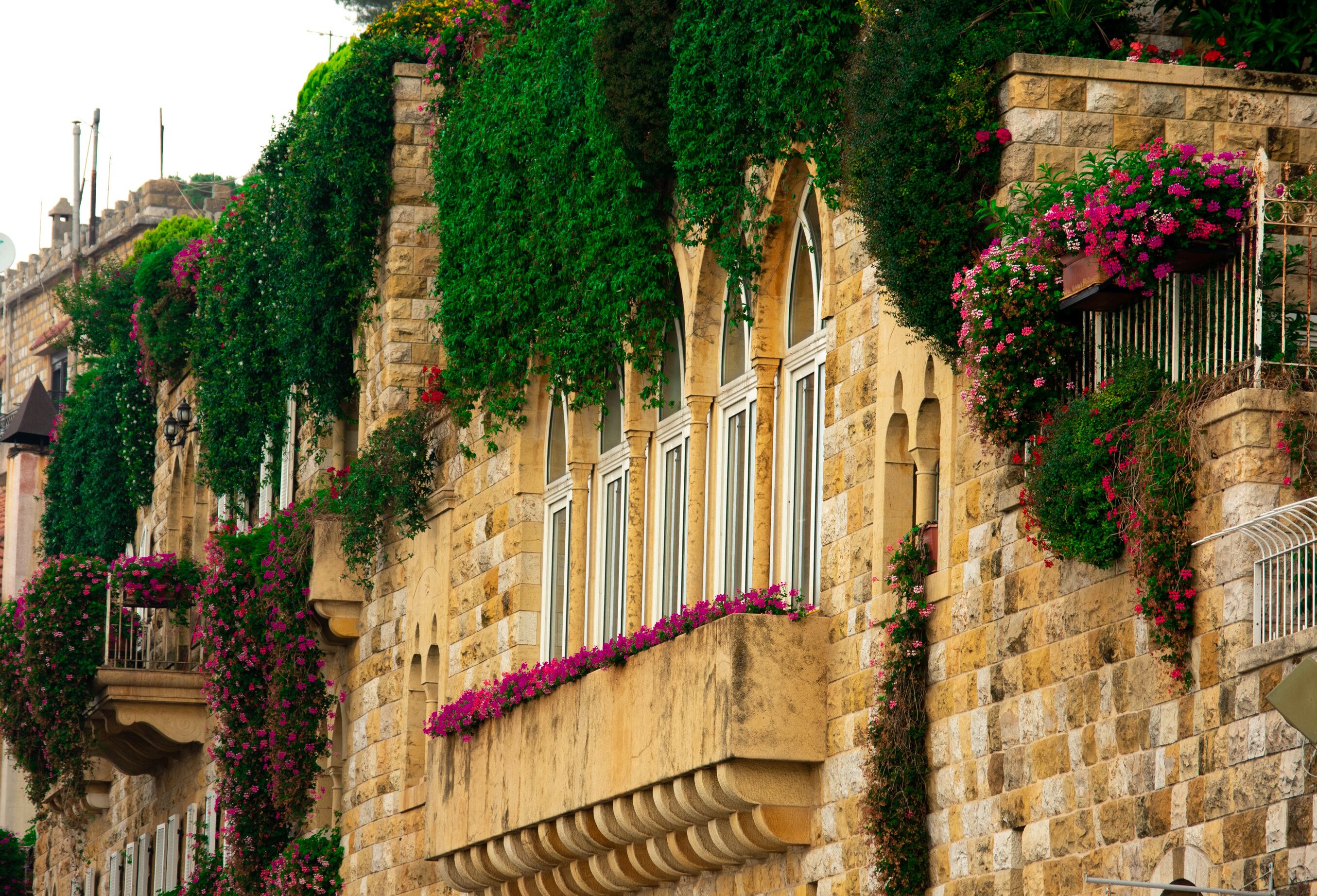 A historic stone building with arched windows and lush green vines.