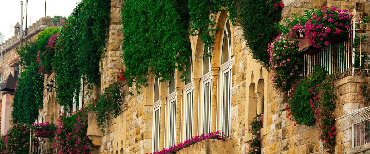 A historic stone building with arched windows and lush green vines.