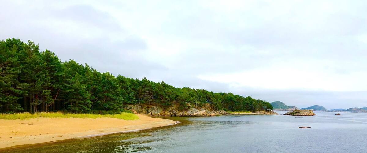 A calm lake with a sandy beach and dense forest on one side.