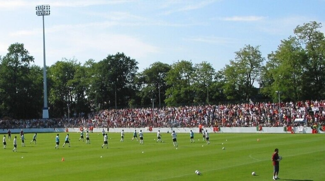 Blick in das Heidewaldstadion während des öffentlichen Trainings der Nationalmannschaft Portugals.