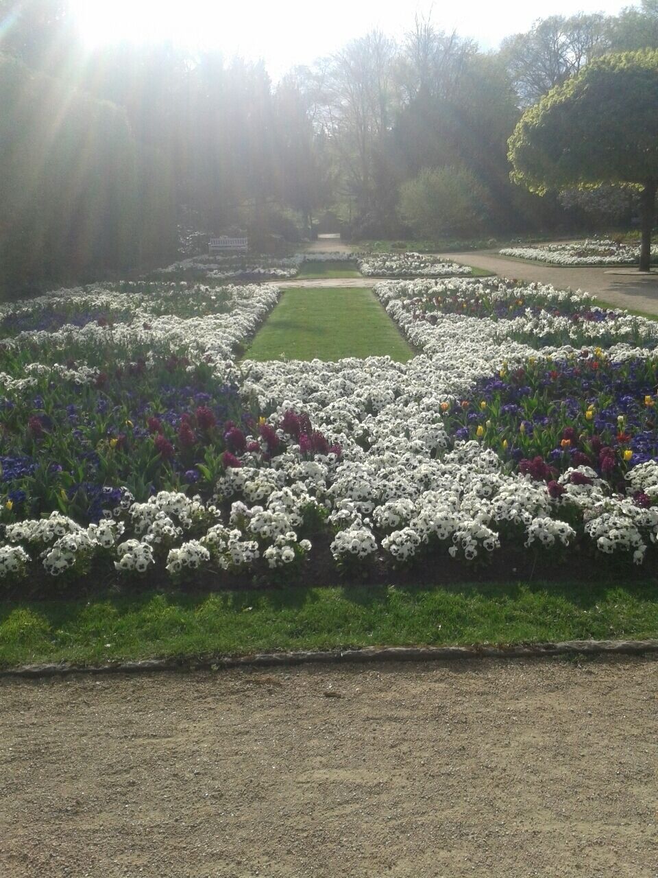 Sunset in Gütersloh