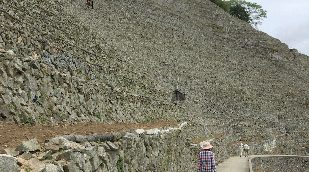Terraced field in Yusu-mizugaura, Uwajima City, Ehime