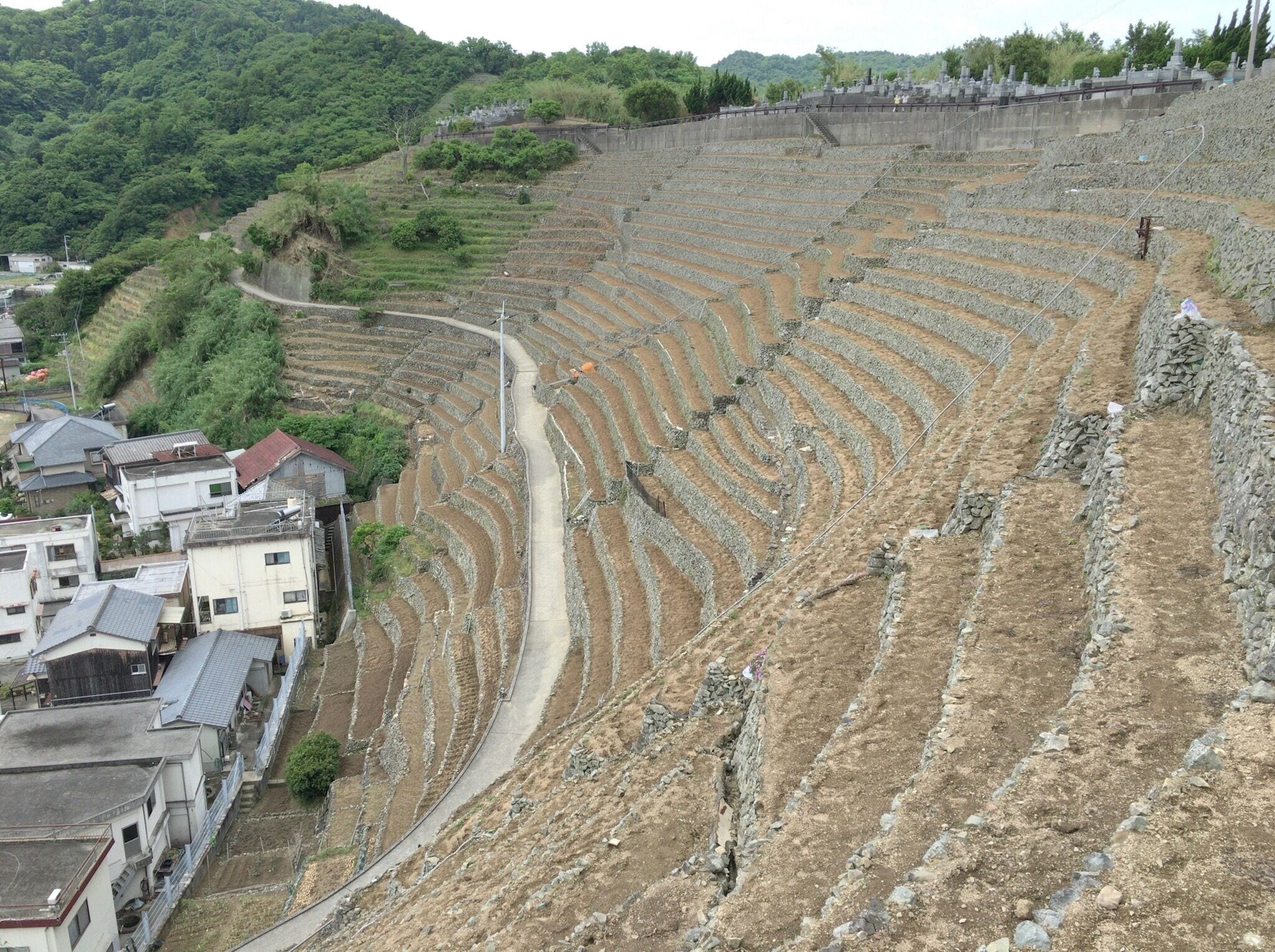 Terraced field in Yusu-mizugaura, Uwajima City, Ehime