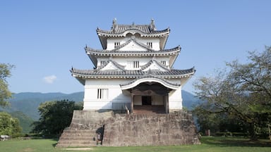 Um castelo japonês tradicional com vários níveis e base de pedra, rodeado por um espaço gramado e árvores.