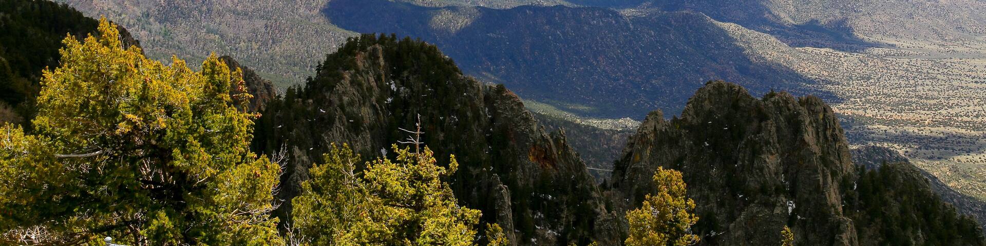In the Sandia Mountains