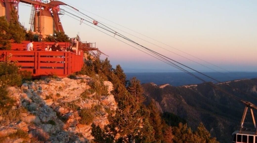 Views of the tram are as captivating as the views from it!